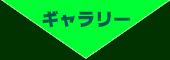 ギャラリー